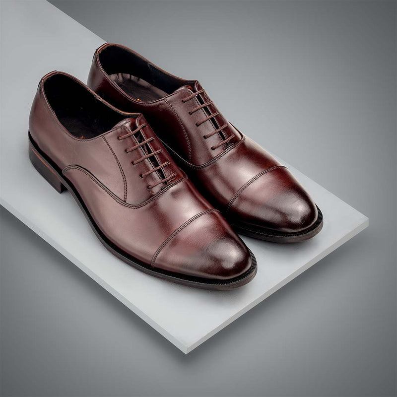 The Zeforo Oxford - Maroon