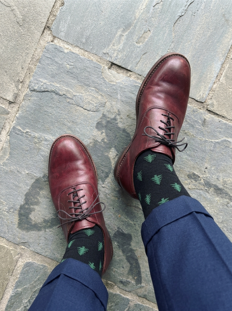 Stephen H.W review of The Zeforo Oxford - Maroon